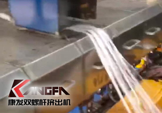 康發雙螺桿無網模頭現場試機視頻